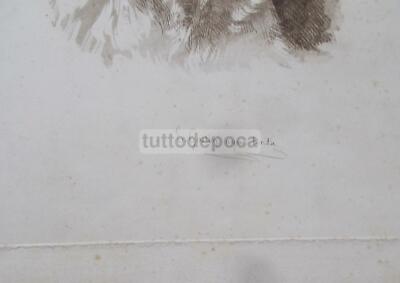 Arte Cinofilia Cani: Incisione Acquatinta Di Gaston E Malanton