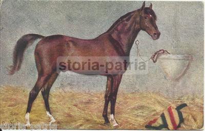 Arte, Zoologia, Cavalli: Cartolina Decorativa A Colori Con Tricolore