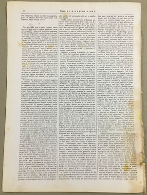 Enologia, Esposizione Di Torino 1884: Padiglione Enologico, Vini, Barolo