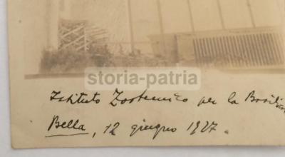 Basilicata, Potenza, Bella, Zootecnia: Rara Antica Foto Di Gruppo Originale d'Epoca