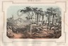 Campania, Napoli, Vesuvio: Veduta Popolare, Litografia A Colori Del XIX Secolo