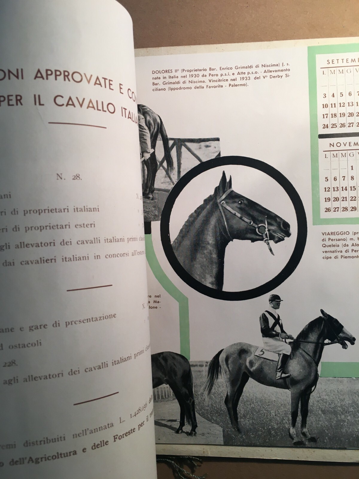 Sport, Ippica, Cavallo, Equitazione, Caccia, Folklore d'Epoca, Fascismo, Calendario '34