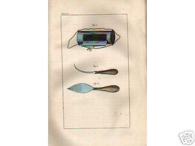 Storia Naturale: Botanica, Paleontologia Vegetale, Fisiologia, Clima   Edizione 1862