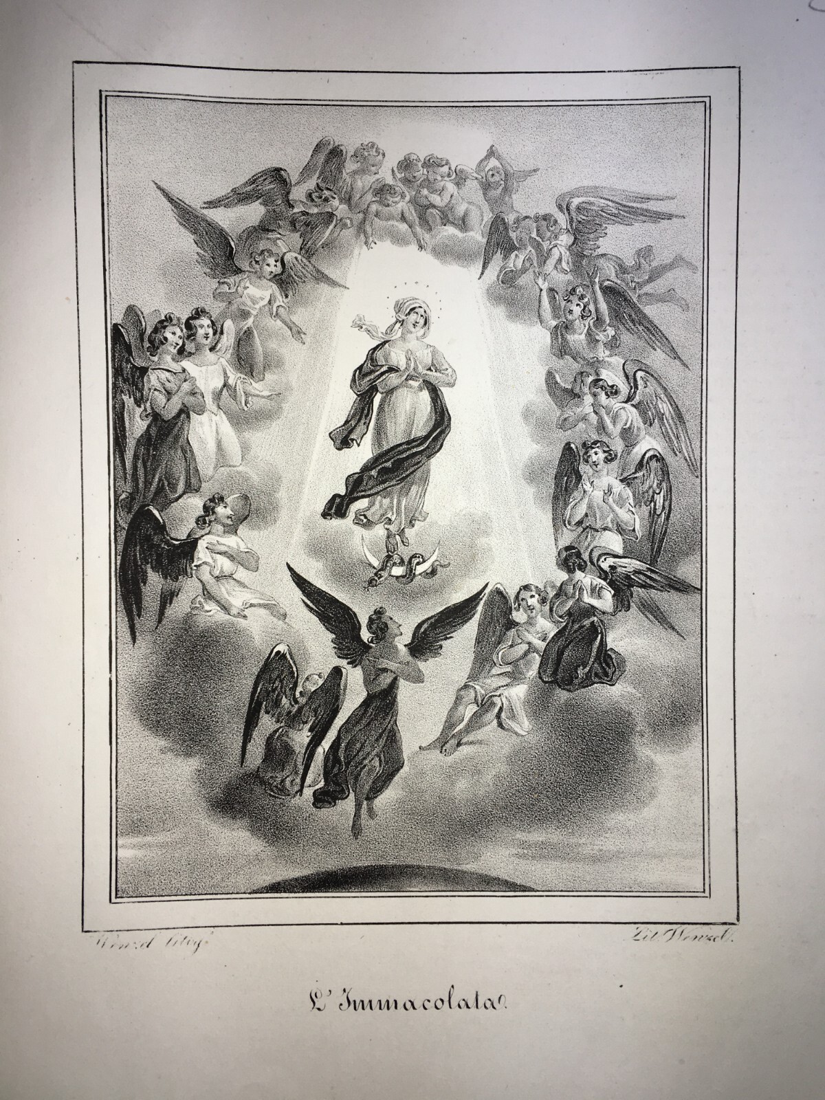 Stampa Popolare Devozionale, Madonna Immacolata, Iconografia Con Angeli, Wenzel, XIX Secolo