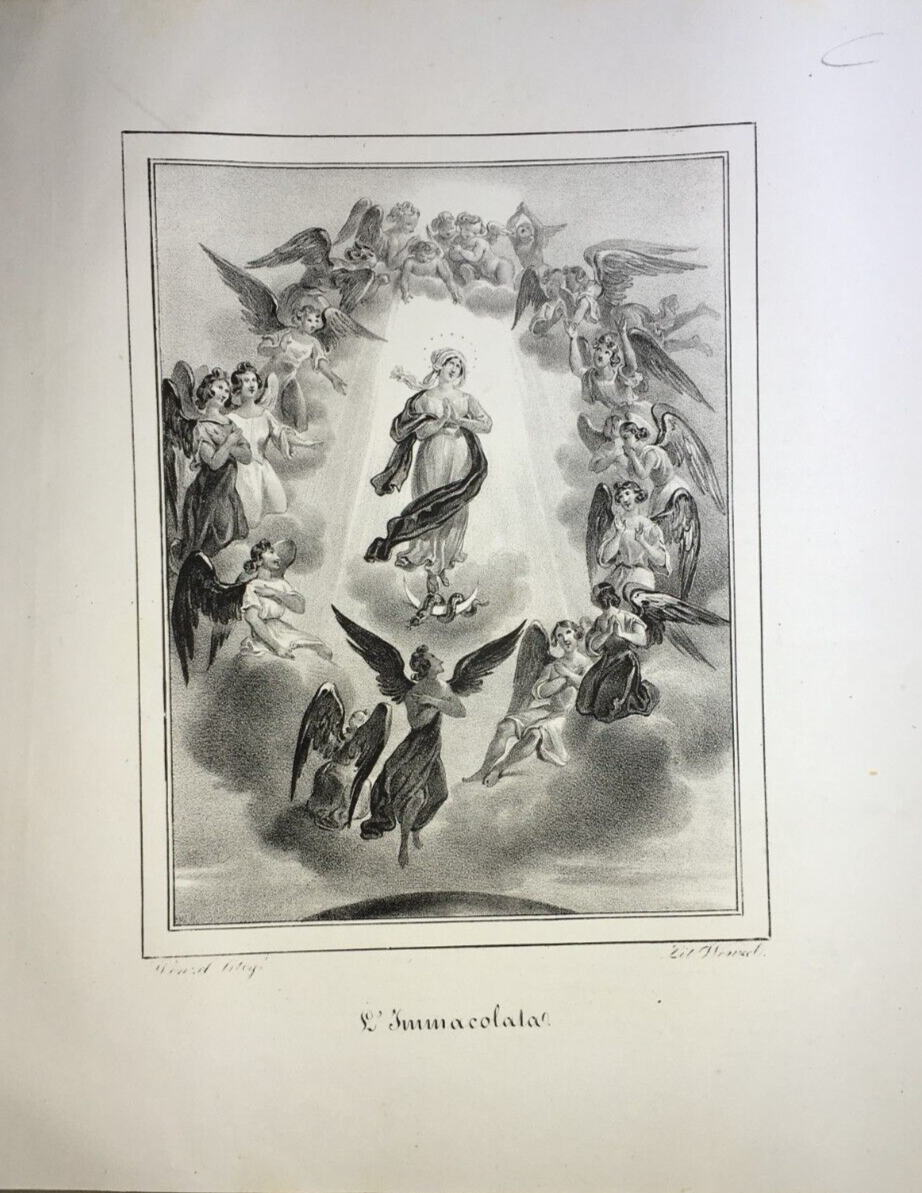 Stampa Popolare Devozionale, Madonna Immacolata, Iconografia Con Angeli, Wenzel, XIX Secolo