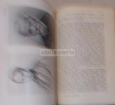 Storia Dell'Astronomia   Giorgio Abetti (1949)