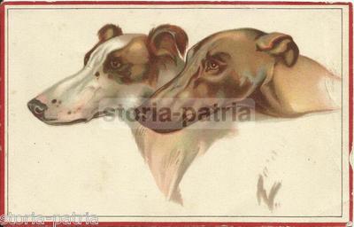 Cinofilia, Cani, Illustrazione Artistica, Cartolina d'Epoca E Filatelia