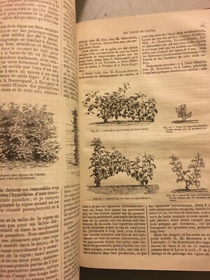 Journal d'Agriculture Pratique   Rivista Di Agraria E Zootecnia (1863)