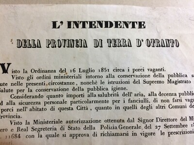 Puglia, Salento, Terra d'Otranto, Lecce: Igiene E Veterinaria Contro I Porci Vaganti