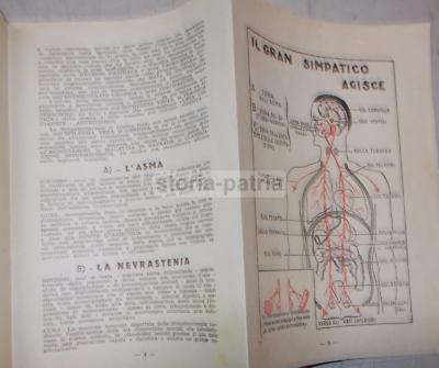 Medicina, Neurologia, Nevrastenia: Metodo Ricci E Stimolazione Nasale