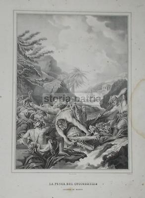 Arte Boucher: Caccia E Pesca Al Coccodrillo, Animata Veduta, Antica Litografia Zezon, '800