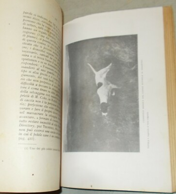 Cani Da Caccia: Zoologia. Il Cane Pointer. Addestramento, Allevamento. Arkwright, 1942