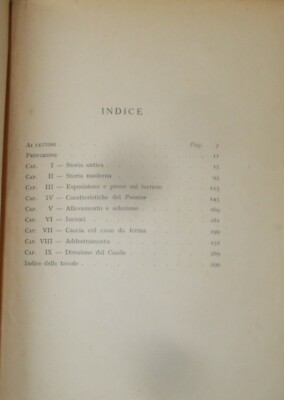Cani Da Caccia: Zoologia. Il Cane Pointer. Addestramento, Allevamento. Arkwright, 1942