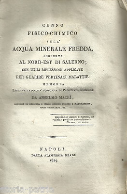 Campania, Salerno: Medicina, Chimica E Acque Minerali Di Anselmo Macrì. Antica Edizione, 1827