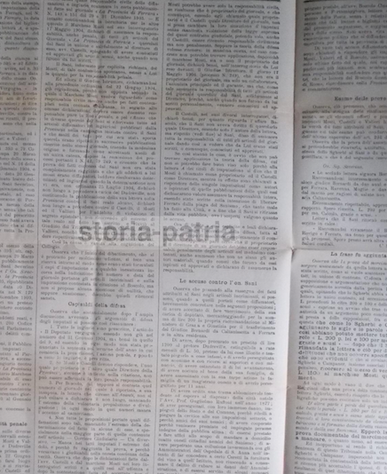 Ferrara: Deputato Sani   Processo Giuridico Trotti, Valieri, Boscolo, Castelli (1905)