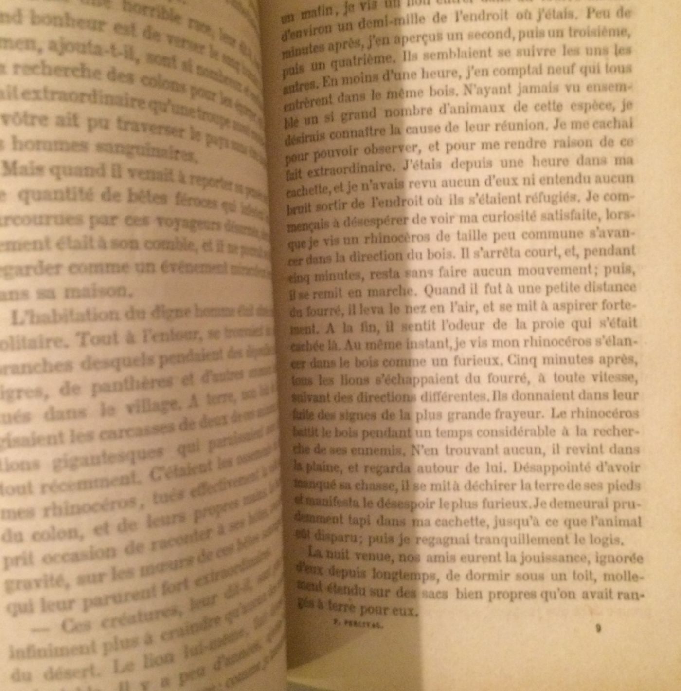 Viaggi, Scienza E Avventura: Percival, Il Giovane Avventuriero   Antica Edizione, 1882