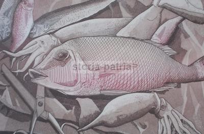Arte Grafica Moderna: Cucina, Pesce, Calamari, Forbici. Opera d'Arte, 1980
