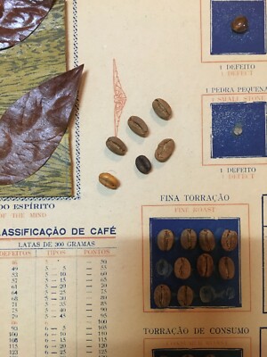 Pannello Pubblicitario Vintage Caffè O Ouro Do Brasil Con Campionario Di Chicchi E Varietà