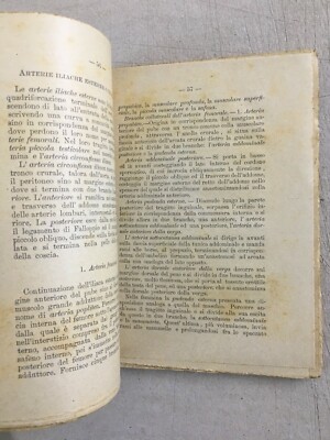 Compendio Di Anatomia Descrittiva Del Cavallo   Ugo Barpi, 1900