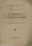 Costanzo Di Marzo, L'Ahal Un Salotto Sahariano, 1927