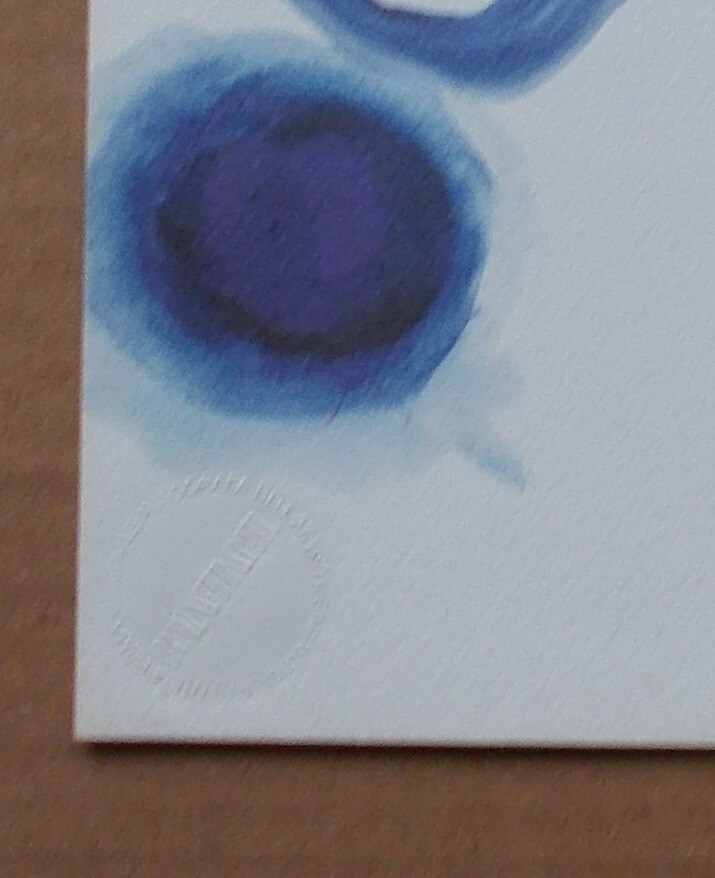 Victor Pasmore, I Colori Dell'Arcobaleno: Indaco. Grafica d'Epoca