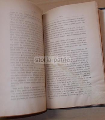 La Teoria E La Pratica Della Viticoltura E Della Enologia   Egidio Pollacci (1883)