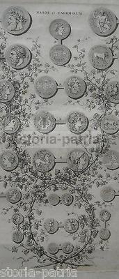 Numismatica, Monete Antiche: Sicilia, Taormina, Naxos. Ritratti E Allegorie, Vite E Uva