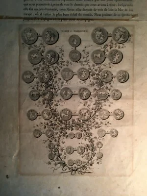 Numismatics, Ancient Coins: Sicily, Taormina, Naxos. Portraits and Allegories, Vines and Grapes
