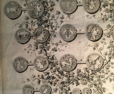 Numismatics, Ancient Coins: Sicily, Taormina, Naxos. Portraits and Allegories, Vines and Grapes