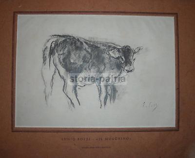 Arte, Artisti Toscani: Pozzi, Pubblicitaria d'Epoca. Il Mucchino, Libro Cucinario, Anni '40