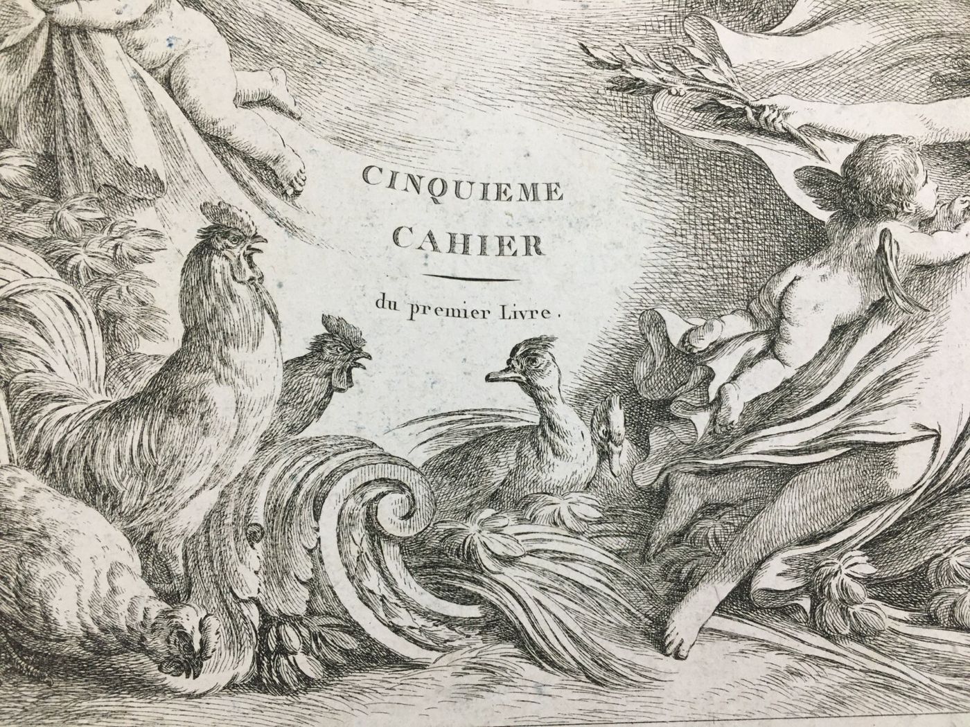 Arte Antica, Artista Huet, Parigi, Incisione Di Pregio, Musica, Angeli, Galline, Oche