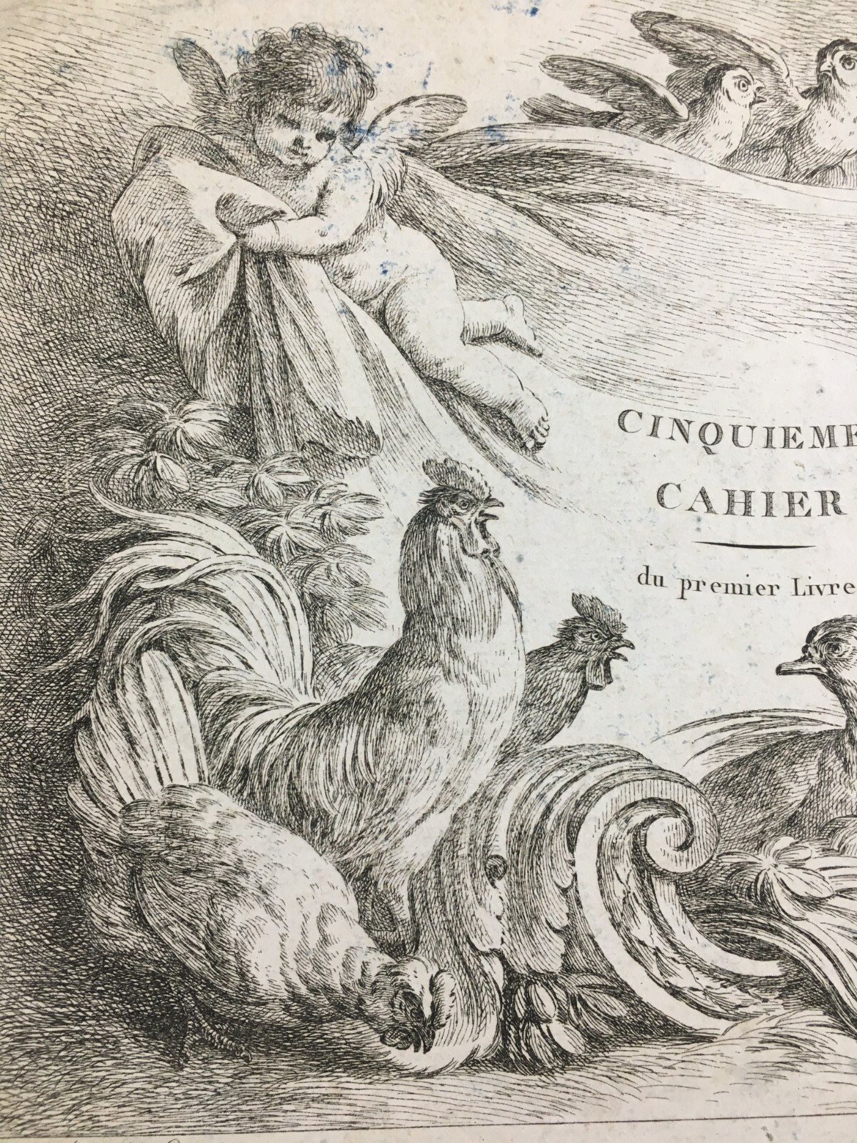 Arte Antica, Artista Huet, Parigi, Incisione Di Pregio, Musica, Angeli, Galline, Oche