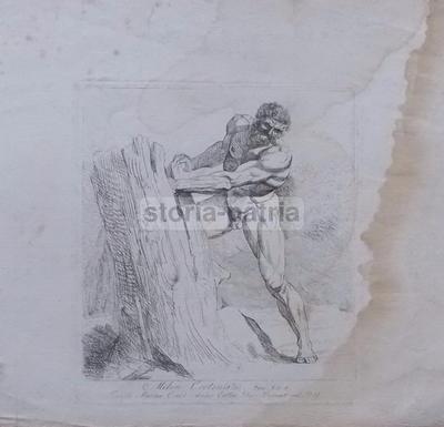 Milo Di Crotone: Incisione Di Damiano Pernati (Novara)
