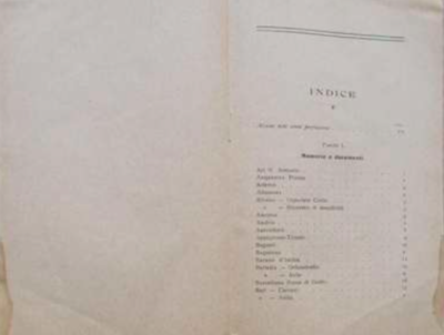 Le Figlie Di S. Anna Negli Anni Di Guerra 1915 1919: Storia, Medicina E Devozione