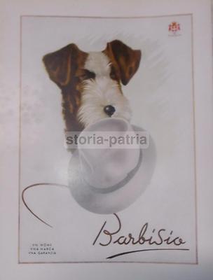 Profumeria Contessa Azzurra, Venturini, Cappelli Eleganza Maschile, Barbisio, Stampa d'Epoca