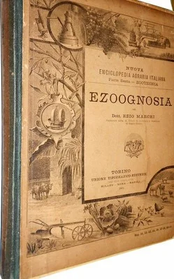 Zootechnics, Veterinary Medicine, Cattle, Equines, Horse: Antique Illustrated Work with Rare Movable Plates