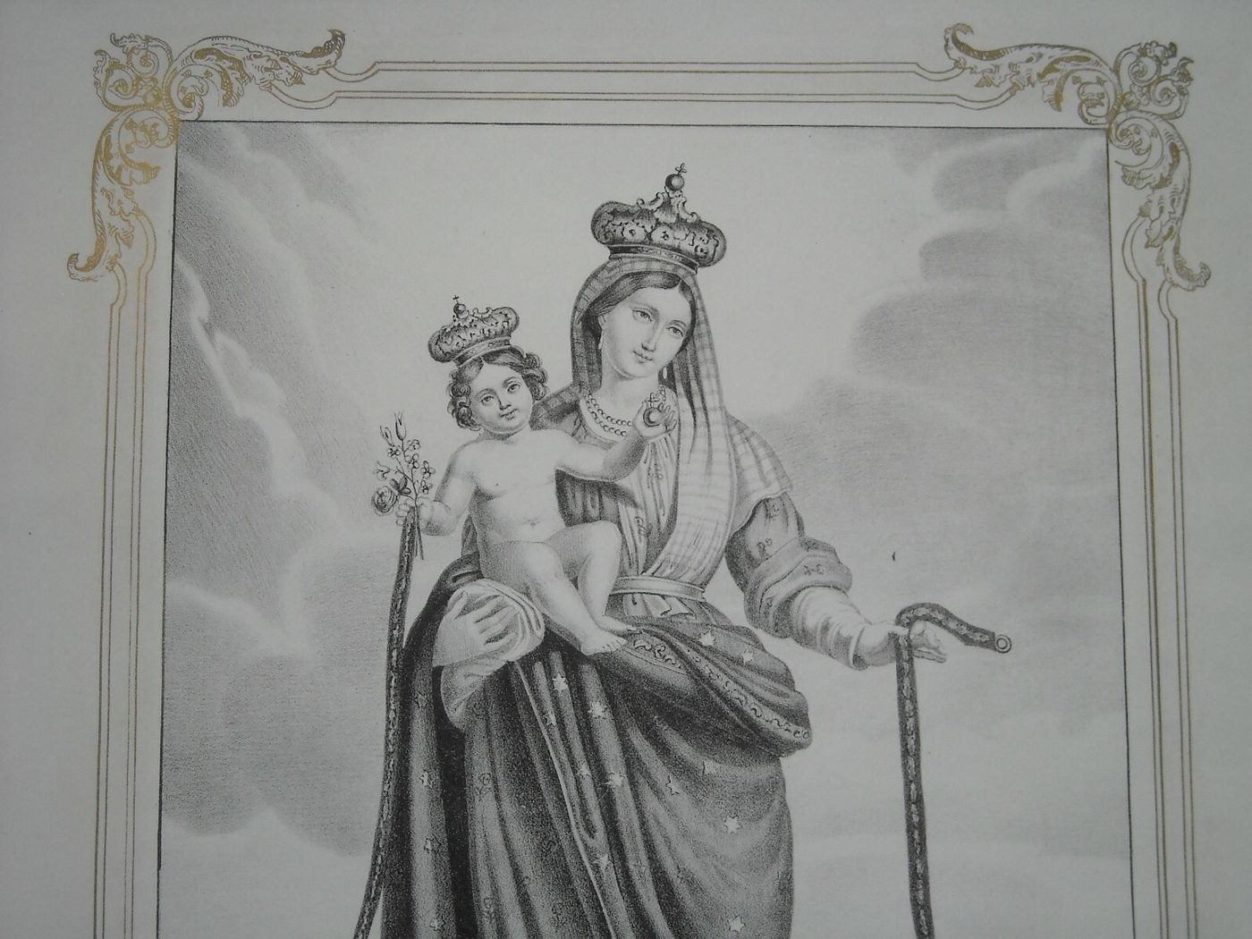 Madonna Della Consolazione O Della Cintura, Dolfino