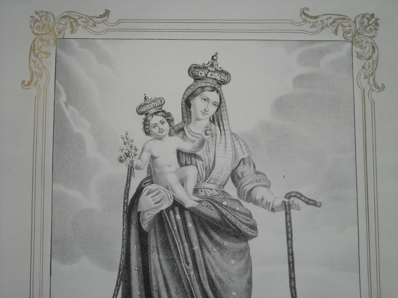 Madonna Della Consolazione O Della Cintura, Dolfino