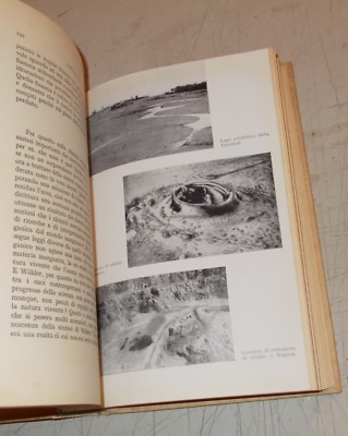 Michele Giua, La Chimica Nella Vita Sociale, 1956