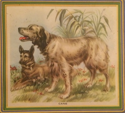 Cinofilia: Cani E Cane Da Caccia. Stampa A Colori Decorativa