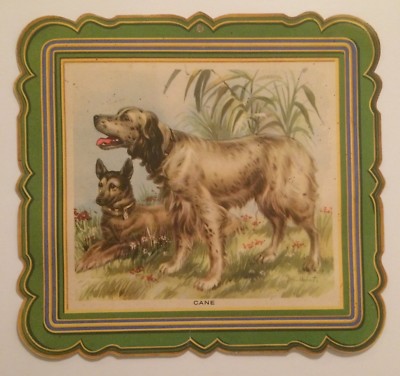 Cinofilia: Cani E Cane Da Caccia. Stampa A Colori Decorativa