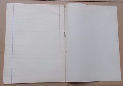 Guglielmo Marconi: Scienza, Tecnica, Telegrafia. Biografia Su Inusuale Quaderno Scolastico, Romagna