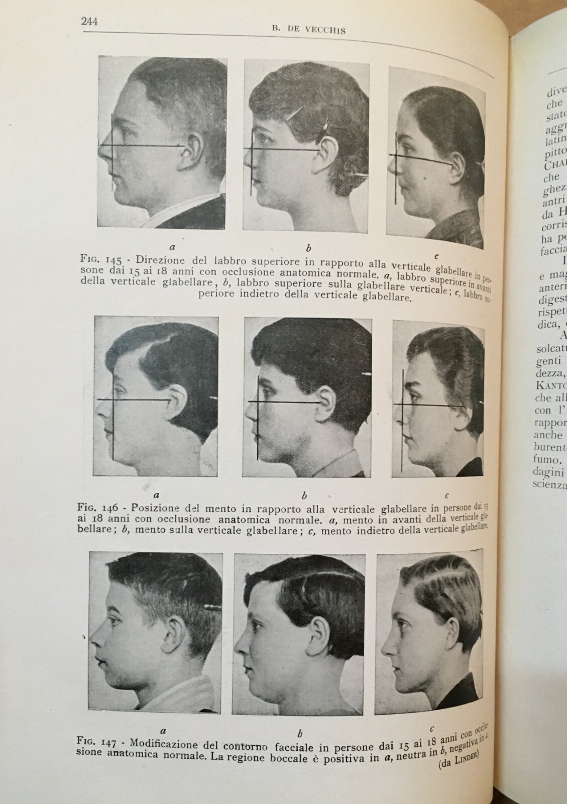 Medicina, Odontoiatria E Ortodonzia: De Vecchis, Volume Illustrato, 1938