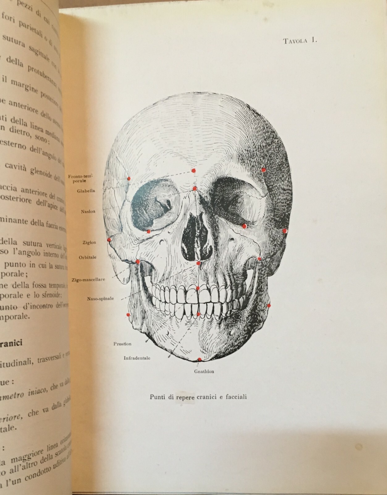 Medicina, Odontoiatria E Ortodonzia: De Vecchis, Volume Illustrato, 1938