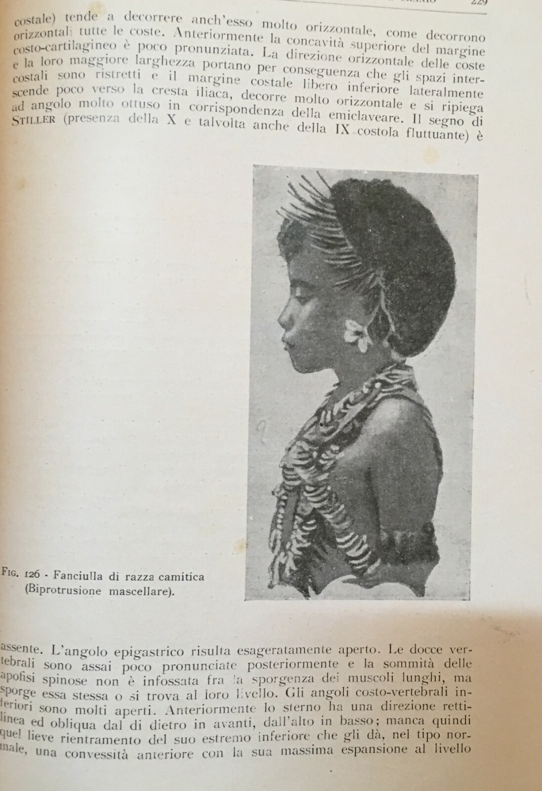 Medicina, Odontoiatria E Ortodonzia: De Vecchis, Volume Illustrato, 1938