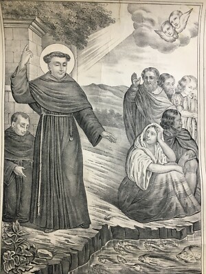 Stampa Popolare Devozionale: S. Antonio Di Padova Predica Ai Pesci, Napoli