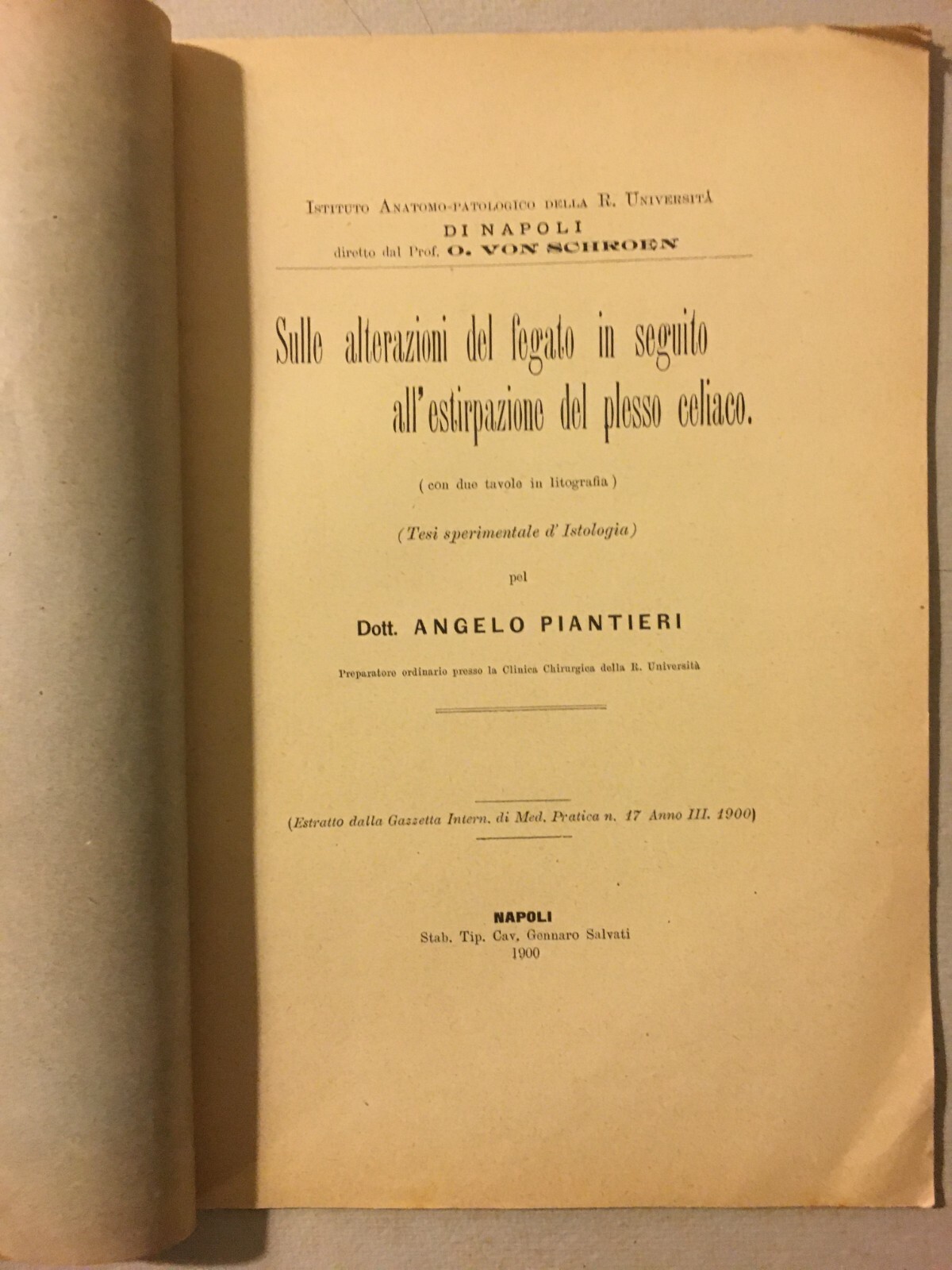 Napoli, Medicina, Anatomia Patologica, Veterinaria, Fegato, Conigli, Piantieri