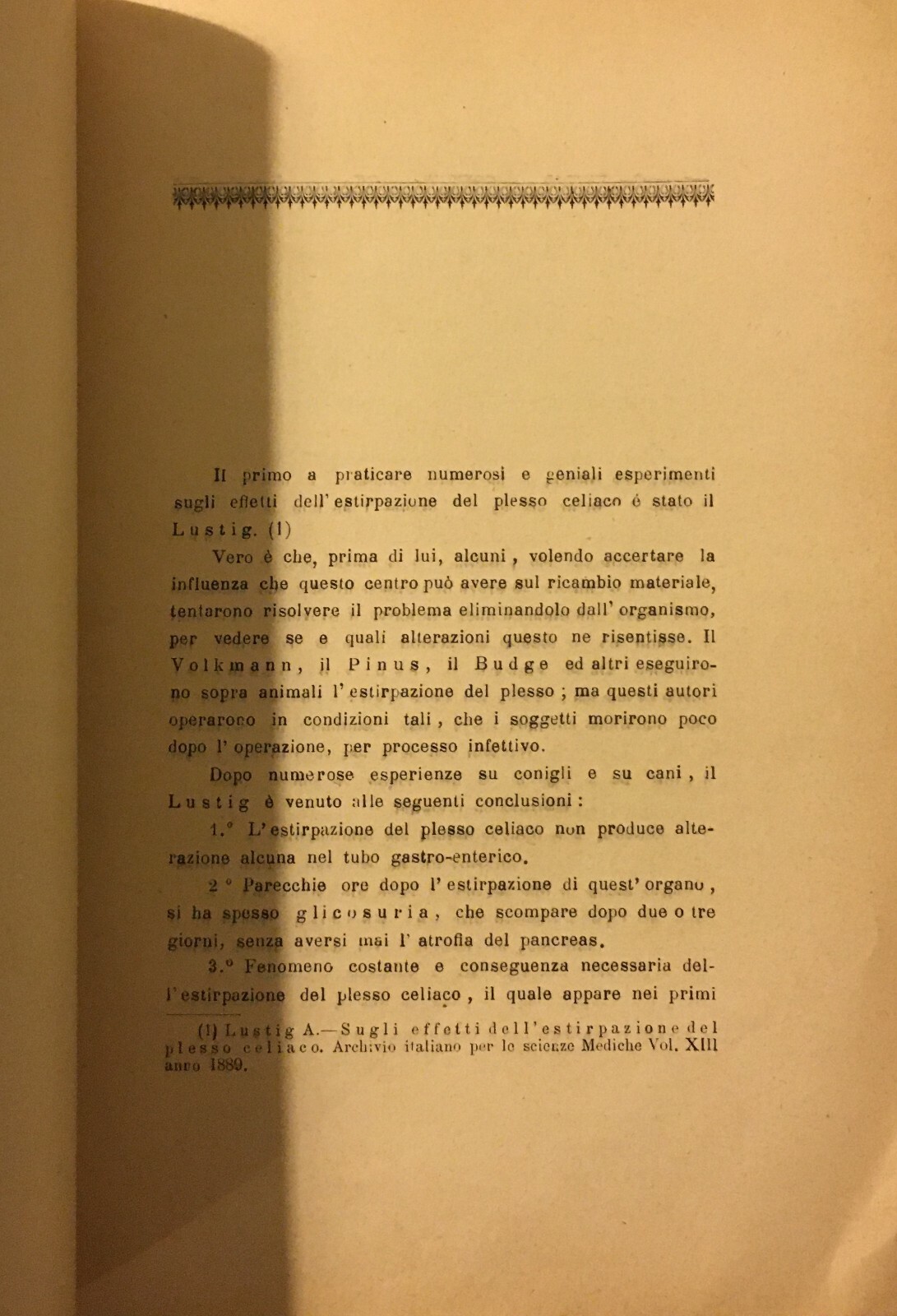 Napoli, Medicina, Anatomia Patologica, Veterinaria, Fegato, Conigli, Piantieri