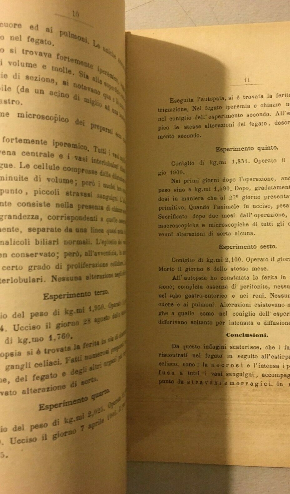 Napoli, Medicina, Anatomia Patologica, Veterinaria, Fegato, Conigli, Piantieri