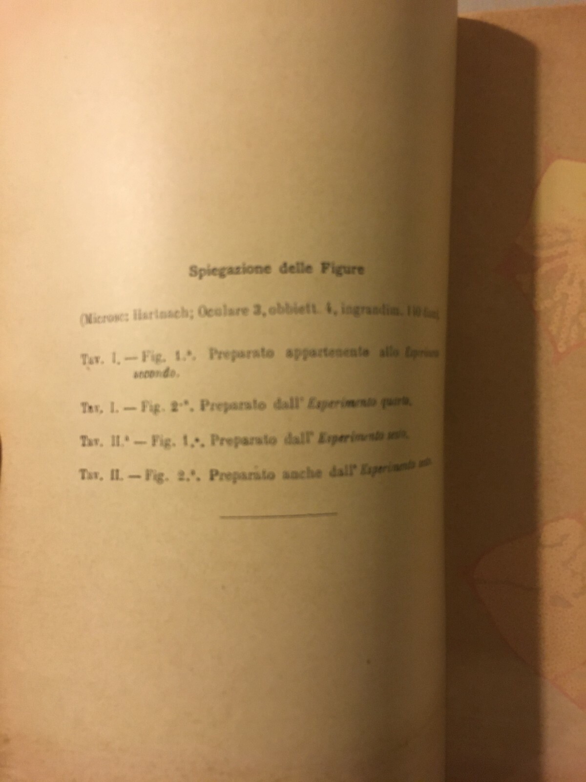 Napoli, Medicina, Anatomia Patologica, Veterinaria, Fegato, Conigli, Piantieri